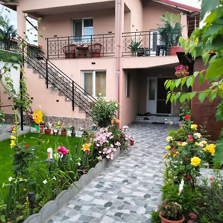 Casa Tomita Două Mai