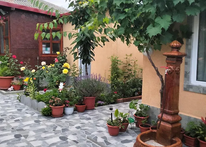 Guest house Casa Tomita